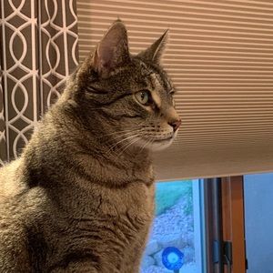 Meet your Posher, Anne